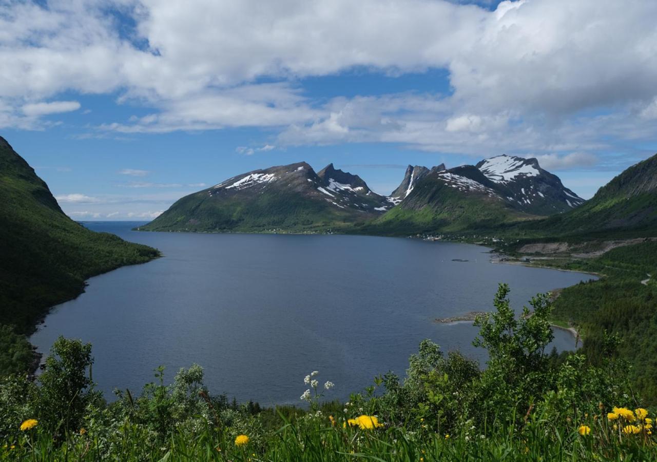 Destination Senja - Skaland 아파트 외부 사진